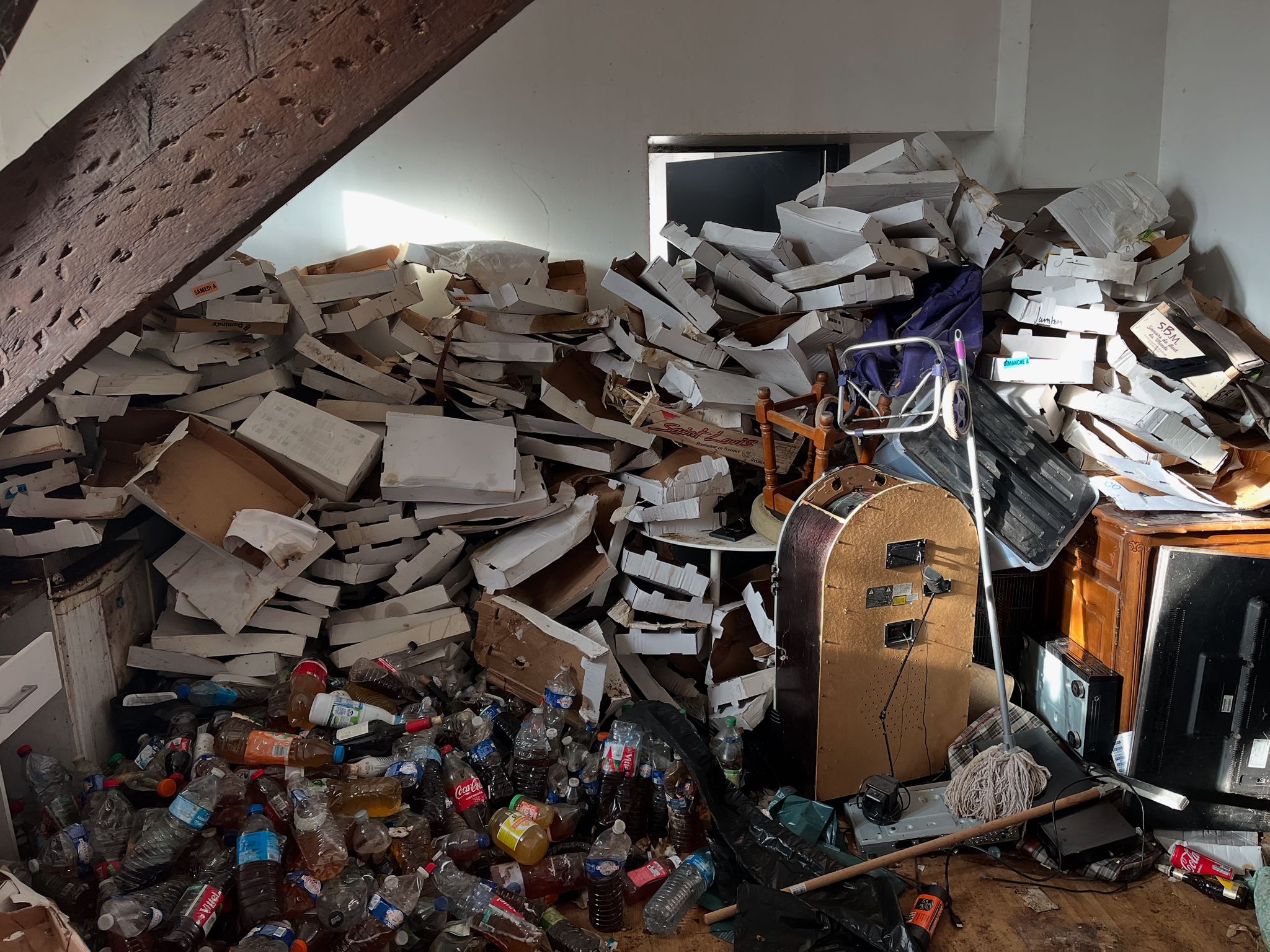 Avant nettoyage cave Diogène